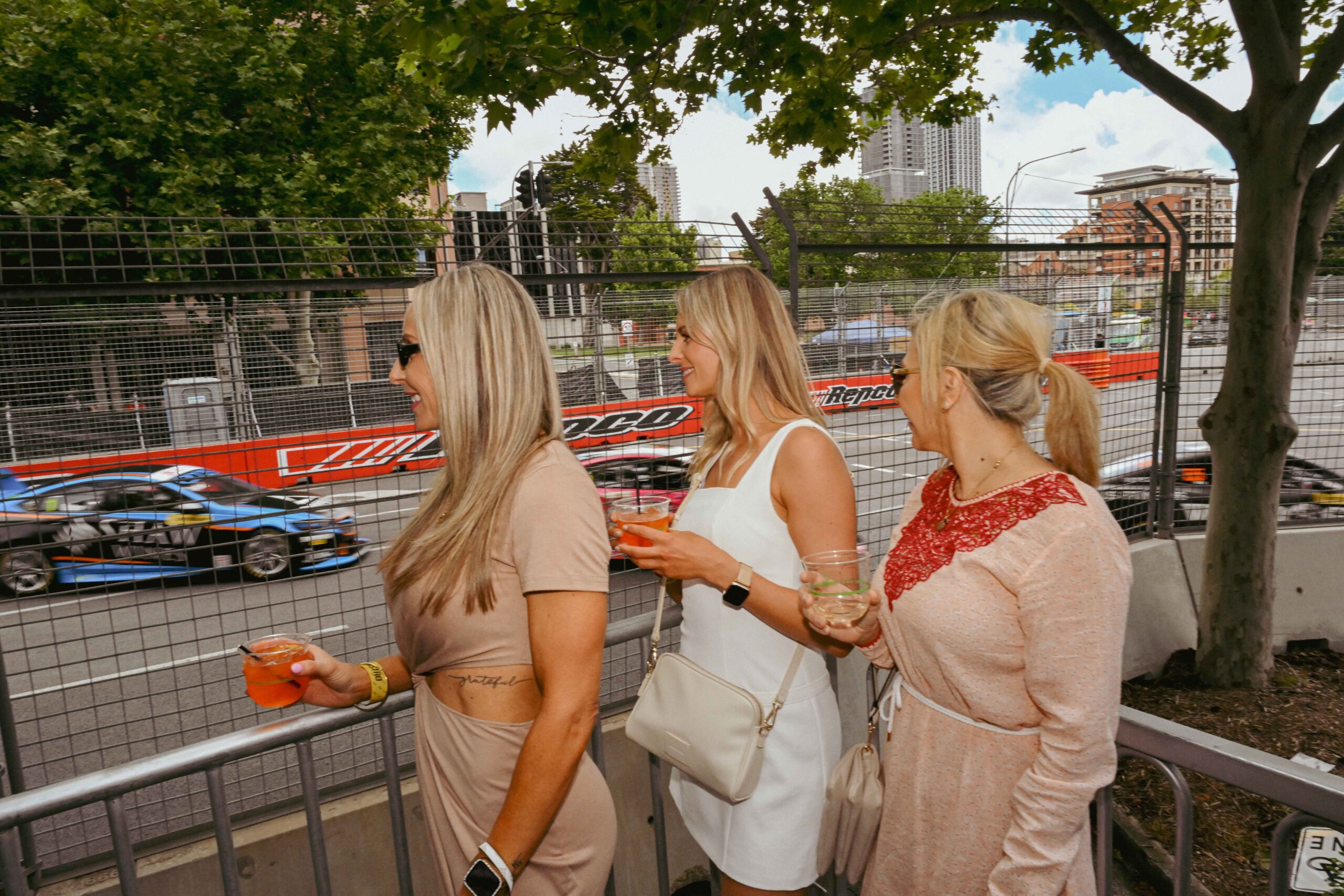 Carousel Image of Adelaide Grand Final